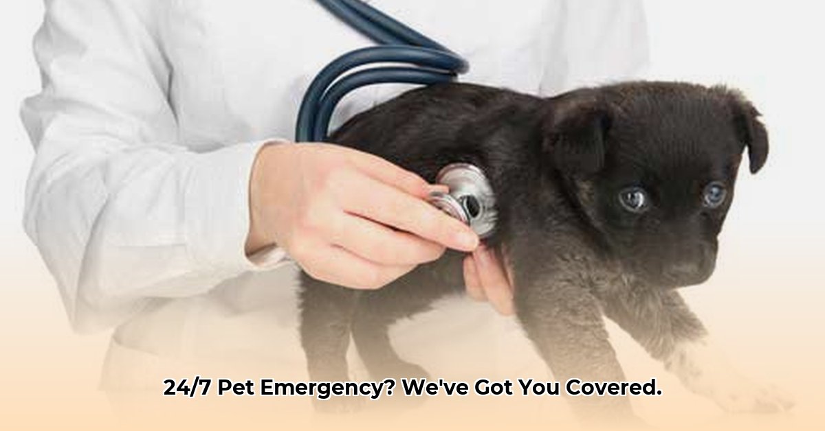 grayson-county-emergency-animal-clinic